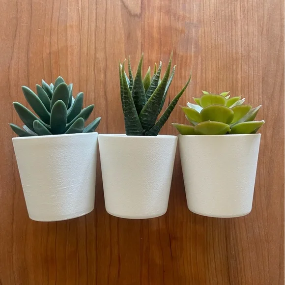 Set of 3 mini artificial succulents in white pots - Picture 2 of 4
